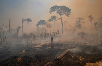 Βραζιλία: Ο αριθμός πυρκαγιών στον Αμαζόνιο φέτος ξεπέρασε ήδη το σύνολο του 2021	