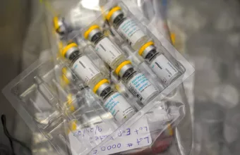 Ευλογιά των Πιθήκων