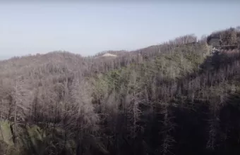 Βόρεια Εύβοια: 1 χρόνος μετά τις καταστροφικές φωτιές – Το οδοιπορικό