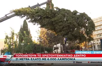 έλατο