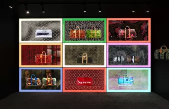  Louis Vuitton 