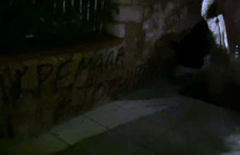 Ηλιούπολη: Επίθεση του Ρουβίκωνα στο σπίτι του πατέρα της 19χρονης που έπεσε θύμα trafficking