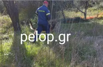 Θρίλερ στην Αχαΐα: Αγνοείται 59χρονος που είχε βγει να μαζέψει μανιτάρια 