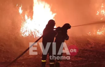 Ψαχνά Ευβοίας