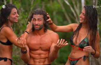 To Survivor All Star