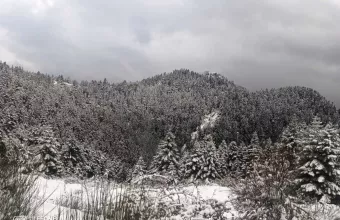 χιόνια
