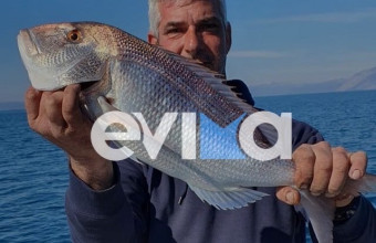 Εύβοια: Ψάρεψε συναγρίδα-γίγαντα
