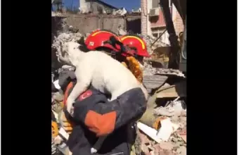 Σεισμός στην Τουρκία