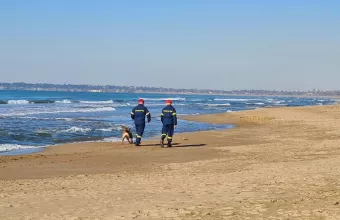ερευνες