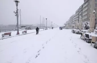 volos