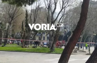 δεντρα