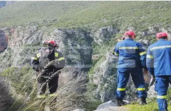 έρευνες