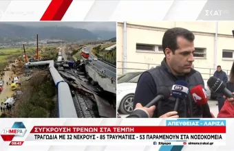 Πλεύρης