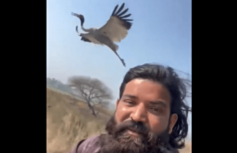 Ινδία: Αγρότης διέσωσε έναν γερανό και ζητά από τις αρχές να απελευθερώσουν τον «φίλο» του - Δείτε βίντεο