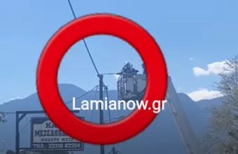 Λαμία γατα