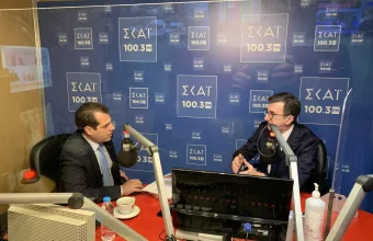 πλεύρης