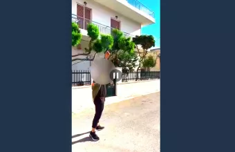 Μενίδι 