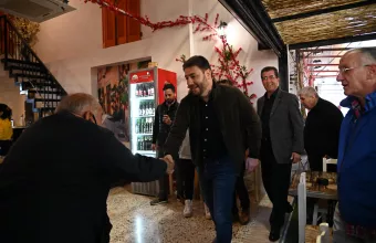 Νίκος Ανδρουλάκης 