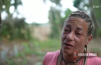 Survivor All Star