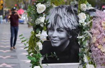 tina turner