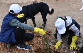 Δενδροφυτεύσεις και εκπαιδεύσεις από τη ΔΕΗ και τη We4all