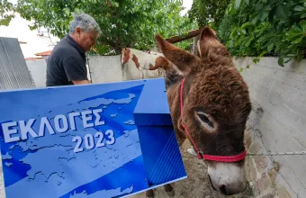 Εκλογές κάλπες 