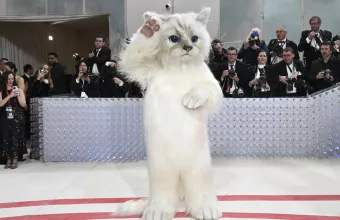 Met Gala 2023