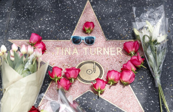 Η Τίνα Τέρνερ ήταν ένα "ίνδαλμα"