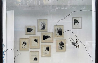 Πτηνά ...«έχτισαν» φωλιές στις Βιτρίνες Τέχνης του ΟΤΕ στη Θεσσαλονίκη