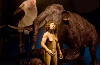 Κι όμως τα... «Χόμπιτ» υπήρξαν: Ποιος είναι Homo floresiensis