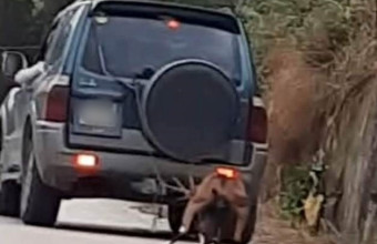 Ζάκυνθος: 63χρονος έσερνε κατσίκα με το αυτοκίνητο του