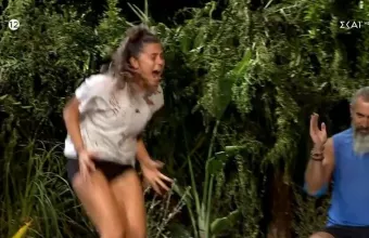 Survivor All Star