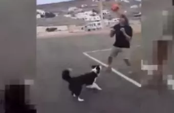 σκύλος