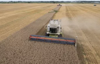ukrainegrain