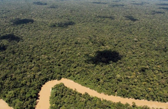 Μειώθηκε η αποψίλωση του Αμαζονίου 