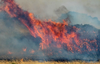 Απειλείται το Σέσκλο στη Μαγνησία  από τη φωτιά 