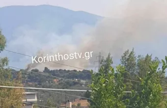 Φωτιά σε αγροτοδασική έκταση στο Λημέρι Κορινθίας