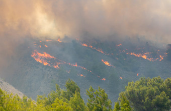 Γράμμος: Μαίνεται η φωτιά σε δύσβατη δασική περιοχή