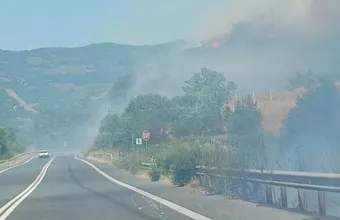 Φωτιά τώρα στα Τέμπη