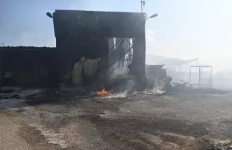 Κτηνοτροφία