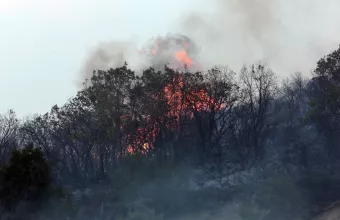 αλεξανδρουπολη 