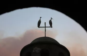 Αλεξανδρούπολη 