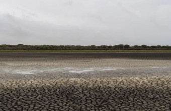 Ισπανία: Πλήρης ξηρασία στη μεγαλύτερη λίμνη του εθνικού πάρκου της Ντονιάνα