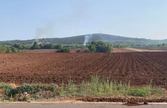 Φωτιά στον Αυλώνα