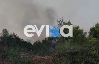 Φωτιά στην Εύβοια: Μεγάλες αναζωπυρώσεις στο Βατώντα – Ισχυροί άνεμοι στην περιοχή