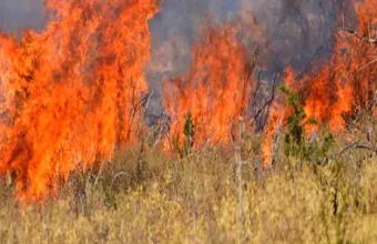 Συναγερμός για φωτιά στη δυτική Θεσσαλονίκη – Σε εξέλιξη επιχείρηση κατάσβεσης