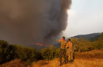 φωτιά εβρος