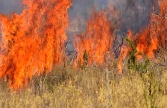 Εύβοια: Ελεύθερος με περιοριστικούς όρους ο 18χρονος για τη φωτιά στα Ψαχνά