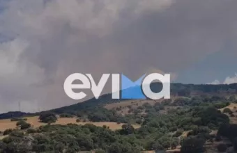 Φωτιά στην Εύβοια