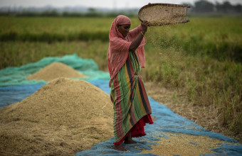 Απαγόρευση εξαγωγής ρυζιού από την Ινδία 